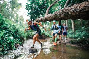 BIB: 
                            <button type="button" onclick="openModal(25368768)" class="btn btn-primary btn-sm float-right btn-popup" data-toggle="modal" data-target=".modal-high-quality">
                        <i class="fas fa-shopping-cart"></i> Add to Cart
                    </button>
                                            <button type="button" onclick="isThisMe(25368768, true)" class="btn btn-success btn-sm float-right btn-popup btn-isme hidden" data-toggle="tooltip" data-placement="bottom" title="นี่คือรูปของคุณใช่ไหม คลิกที่นี่เพื่อเอาเข้าอัลบั้ม">
                        <i class="fas fa-plus"></i> Add to album
                    </button>
                    <button type="button" onclick="isThisMe(25368768, false)" class="btn btn-warning btn-sm float-right btn-popup btn-isnotme hidden">
                        <i class="fas fa-ban"></i> Remove from album
                    </button>